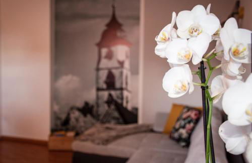 Nock Apartment Dolomites in South Tyrol - Italy - Photo 14