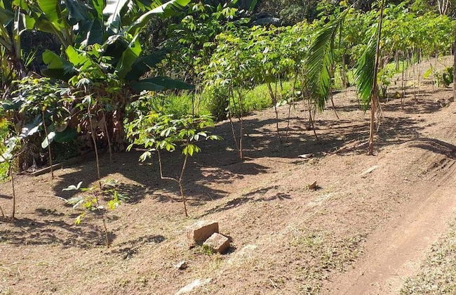 Espaço UNIFLORA Eventos - Foto 21