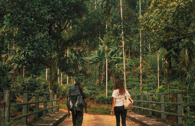 Kurunduketiya Private Rainforest Resort - Photo 23