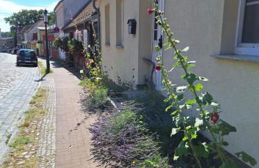Große Ferienwohnung in Flecken Zechlin - Photo 52