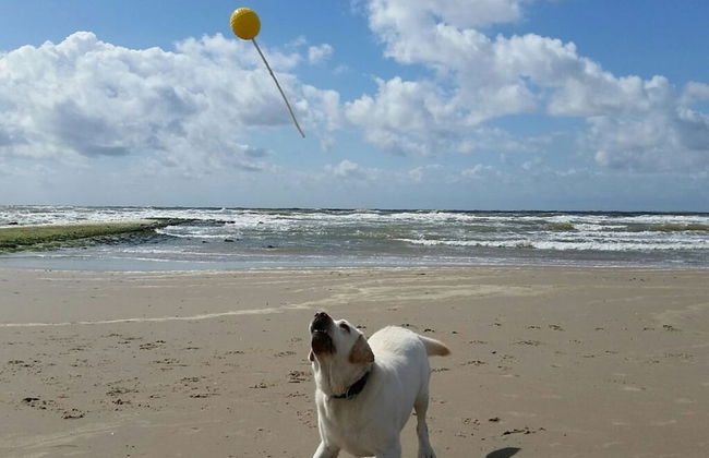 Schittering van de Zee - Foto 28