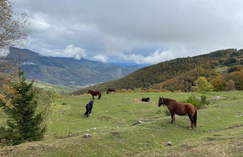 Total Peace and quiet on the top of the mountain, - Foto 32