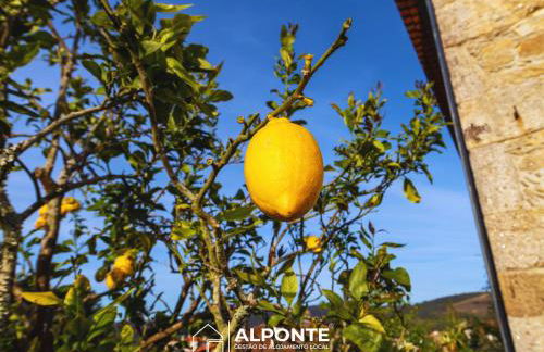 Casa da Pedra by ALPONTE - Foto 37