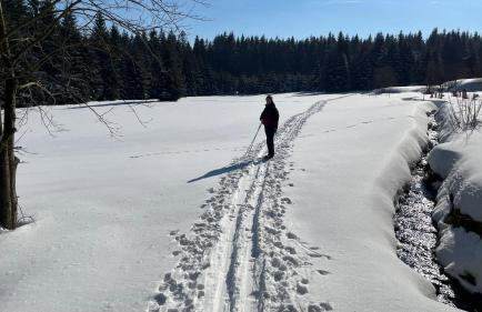 "Glück auf" Lichtdurchflutete schicke Ferienwohnung in Zwickau - Foto 48