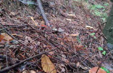 Morowo chałupa - Photo 60