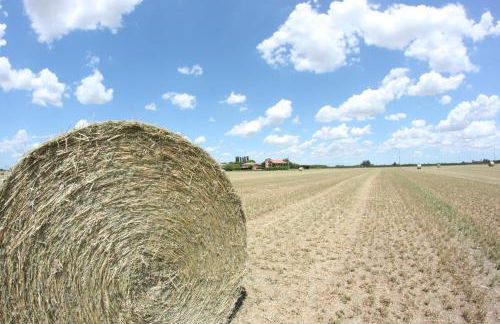 Agriturismo La Lupa - Photo 67