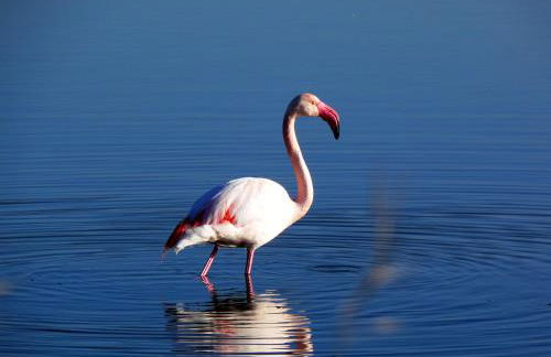 Appartamenti Sant'Andrea - Foto 19