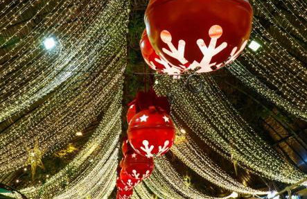 Rancho da Vovó Cleia 1 - Foto 50