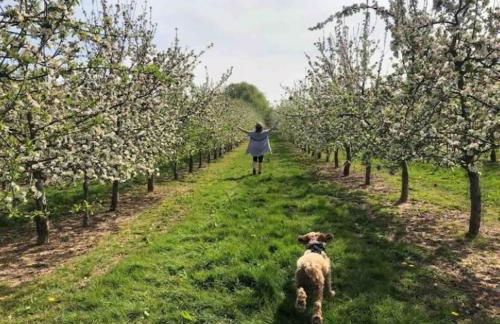 Elkstone House, Hot tub Luxury, Comfortable Home - Foto 50