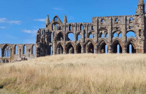 family honeybeelodge york Hot Tub and wood burner - Foto 15