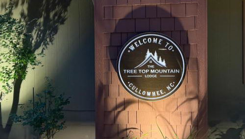 Tree Top Mountain Lodge - Photo 2