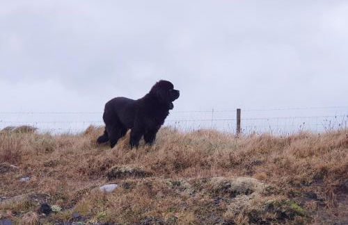 Self-catering Lighthouse Keeper's Cottage on the NC500 - Photo 61