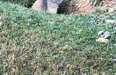 L'étoile des neiges Studio confort pour 4 personnes - Foto 8