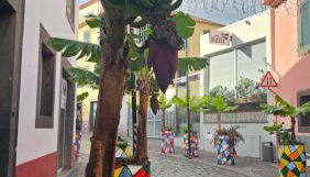 Jose & Idalina House - Foto 2