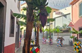 Jose & Idalina House - Foto 2