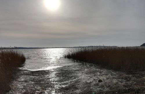 Sellin - Seedorf Am Neuensiener See Apartment 08 - Foto 18