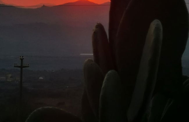 La Fattoria dei Nonni Resort dell'Etna - Foto 47