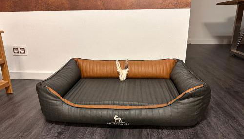 URLAUB mit HUND -Ferienwohnung "AhriBella"- - Foto 5