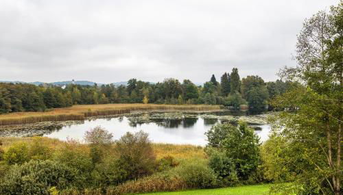 Ferienwohnung Goelz - Foto 3