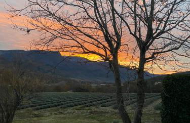 Lou Souleu - Foto 15