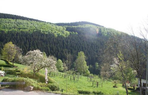 Landhaus Gnacke - Foto 31