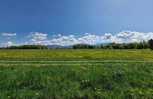 Dom Z Widokiem Na Snieznik - Foto 10