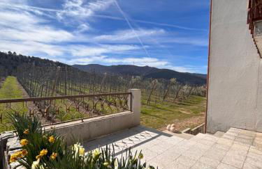 Casa Vicente - Foto 20