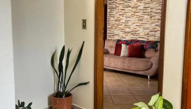 Apto Super Confortável na Vila Nova - Goiânia - Foto 2