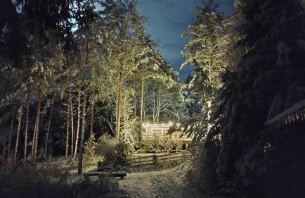 Sosnowy Azyl - Foto 80