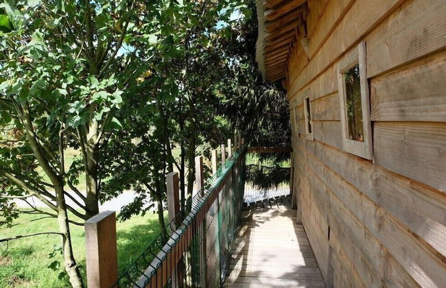 Cabane dans les Arbres - Tree House - Foto 8