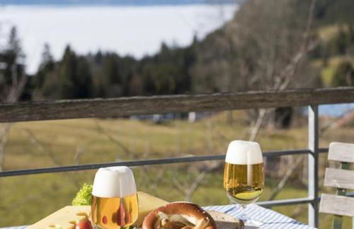 Ferienwohnungen Nachbaur - Foto 22