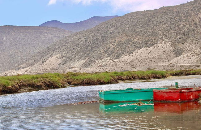 Birdwatching + Kayaking Tour - Photo 6