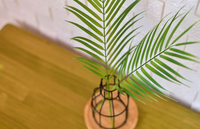 Yeosu Good Morning Pension - Foto 21