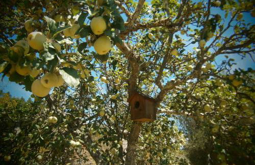Quinta do Tempo Turismo Rural - Foto 37