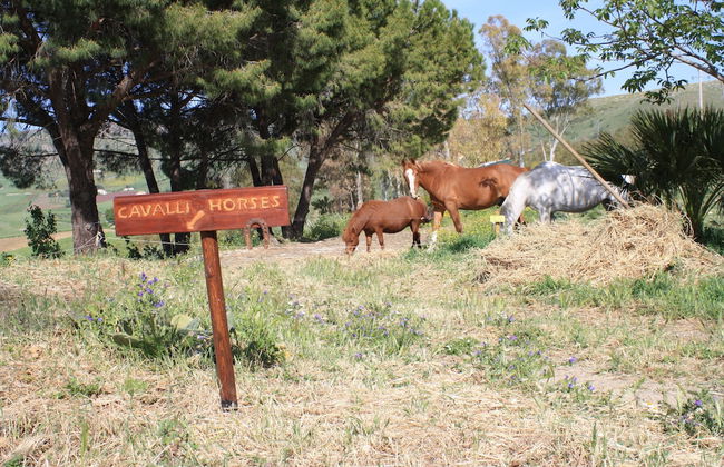 Ridocco Agriturismo - Photo 49