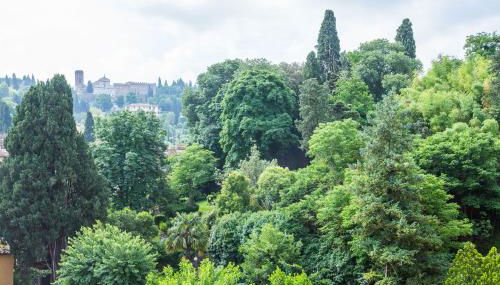 Apartment La Casina - Foto 3, Garden view