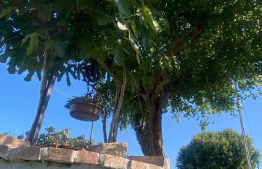 Villa Nides - Foto 27