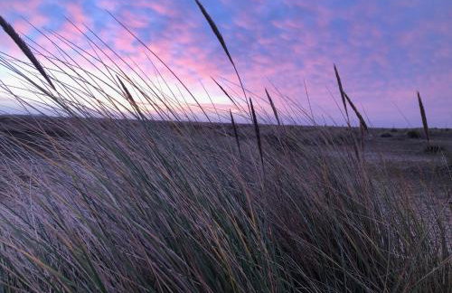 Tranquil 2-Bed Bungalow Near to Southwold - Photo 29