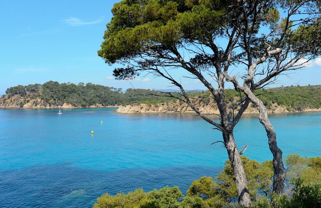 La Manne - Bormes les Mimosas - Foto 47