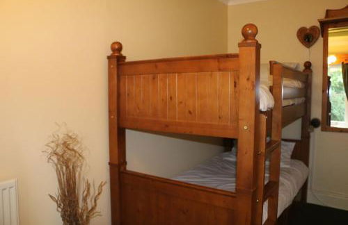 Cae'r Blaidd Country House - Foto 18