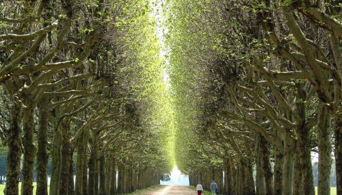 Paris & Versailles at your feet! Shared room in nice house - Foto 2