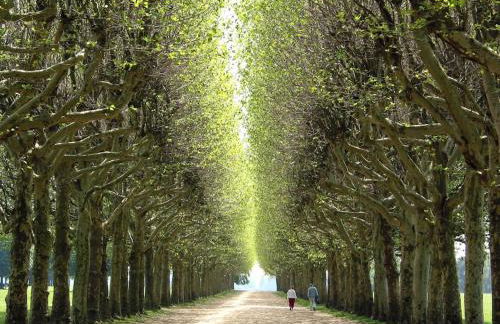 Paris & Versailles at your feet! Shared room in nice house - Foto 2
