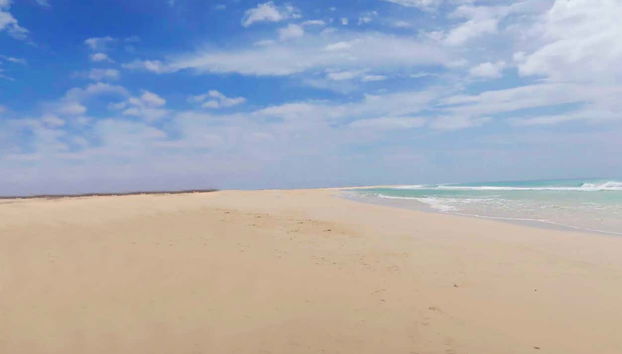 North East Boa Vista + Ervatão Beach Tour - Foto 2