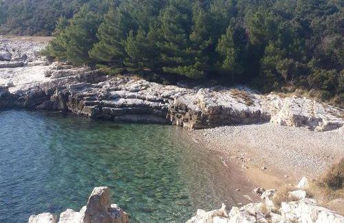 Apartment Sea apartment by Interhome - Foto 9