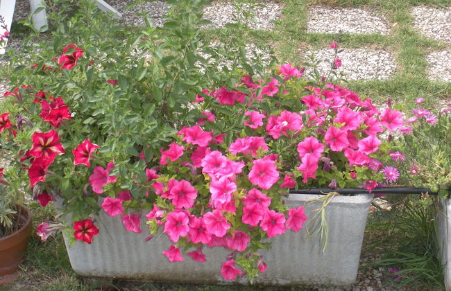 Agriturismo Le Rose - Foto 58