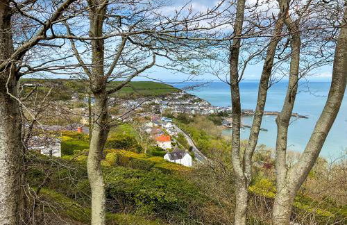 Bron-Yr-Aur - Uk49616 - Photo 23