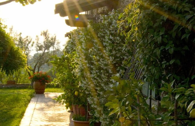 Borgo La Casetta - Foto 34