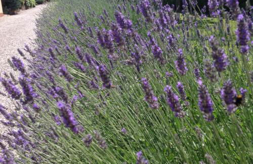 Casale el galet - Foto 12