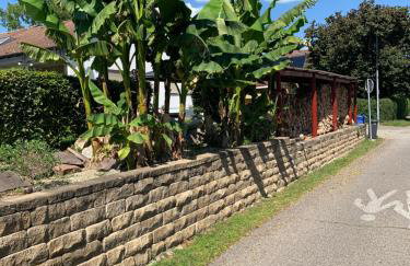 Die Panorama-Wohnung-im-Grünem - Foto 4