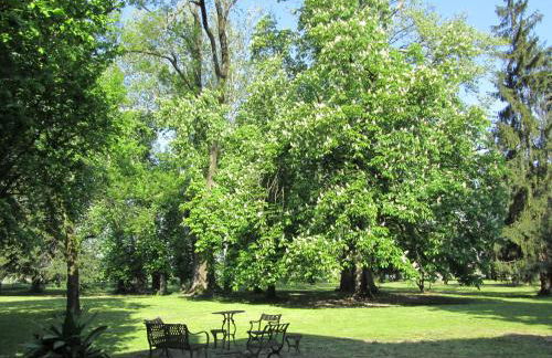 Agriturismo Villa Selvatico - Photo 47